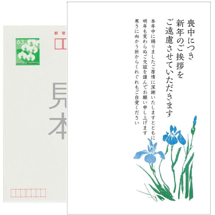 官製 10枚 喪中はがき 63円切手付ハガキ 胡蝶蘭切手 裏面印刷済み No K815 Hagaki M Pkk815 メイドインたんたん 通販 Yahoo ショッピング