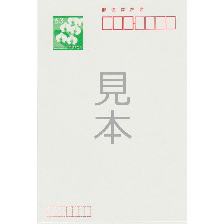 官製 10枚 喪中はがき 手書き記入タイプ 85円切手付官製はがき 裏面