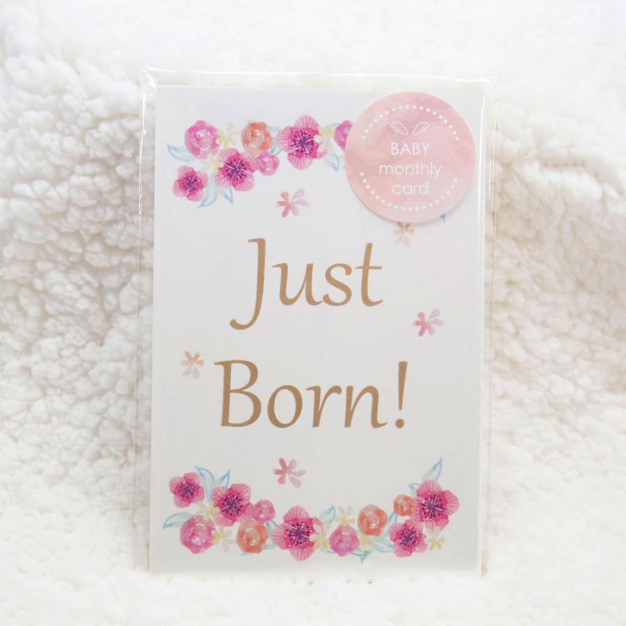 女の子向け♪ベビーマンスリーカード 18枚セット（5歳まで）design2 flower 月齢フォト 月齢カード フラワー 成長記録に 記念日  出産祝い :me01-baby2:メイドインたんたん - 通販 - Yahoo!ショッピング