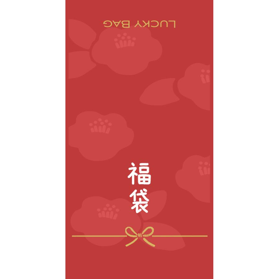 福袋 のしシール 009 85×45mm 枚数選べます お正月のご挨拶 年末年始の  