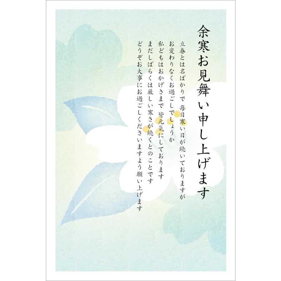 官製はがき 5枚 余寒見舞いはがき（840） 85円切手付官製はがき/裏面
