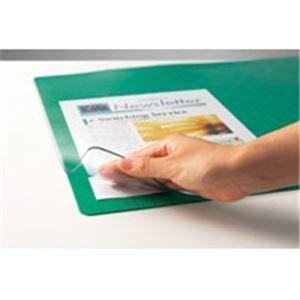 ds-1300165 セントラル スカイマットクリア C-107W 下敷有 (ds1300165)