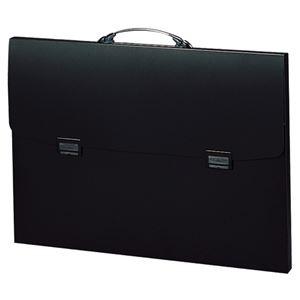 ds-1585647 (まとめ) リヒトラブ ポートフォリオ・ナスカフレックス B3 黒 F-913 1個  (ds1585647)