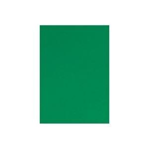 【値下げ】 ds-1913218 (ds1913218) 緑【×10セット】 20枚入 カラー工作用紙 キッズ （まとめ） その他ノート、紙製品