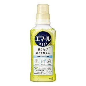 ds-2178373 （まとめ）花王 エマールリフレッシュグリーン 本体 500mL (ds2178373)