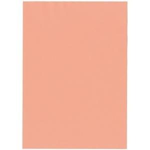 ds-2214602 (まとめ）北越コーポレーション 紀州の色上質A3Y目 薄口 サーモン 1箱(2000枚:500枚×4冊) (ds2214602)