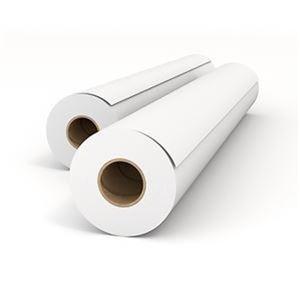 ds-2214786 (まとめ）グラフテックインクジェットプロッタ用普通紙 A2ロール 420mm×50m JC-A2R-PM-R2A 1箱(2本) (ds2214786)