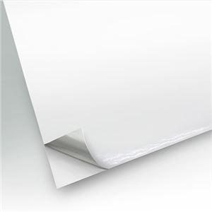 ds-2216799 (まとめ）ライオン事務器 カッティングシート10m巻 白 DC8-380L シロ 1巻 (ds2216799)