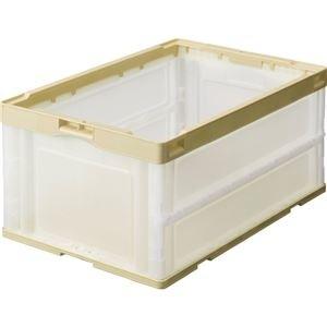 ds-2229201 (まとめ) TANOSEE 折りたたみコンテナ 40L アイボリー／透明 1台  (ds2229201)