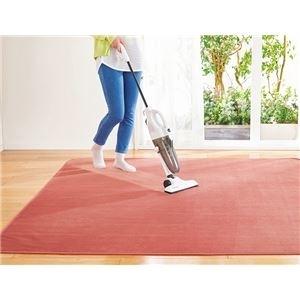 ds-2335132 撥水 ラグマット/絨毯  厚さ20mmホットカーペット対応 (ds2335132)