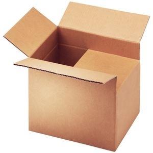 ds-2359284 （まとめ）TANOSEE 無地ダンボール箱 A4（SS）サイズ 高さ調整タイプ 1パック（10枚）  (ds2359284)