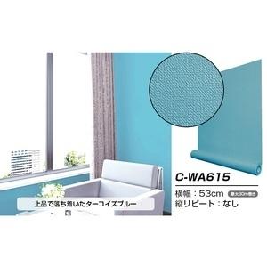 注目ブランド Ds ウォジック 30m巻 リメイクシート 壁紙シール プレミアムウォールデコシートc Wa615 北欧カラー無地 織物調 ターコイズブルー タンタンショップ プラス 通販 Yahoo ショッピング 新品本物 Www Htsstlucia Org