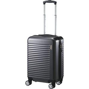 ds-2428594 ライオン事務器 ハードキャリーケース W340×D250×H480mm 05611-09 1個 (ds2428594)