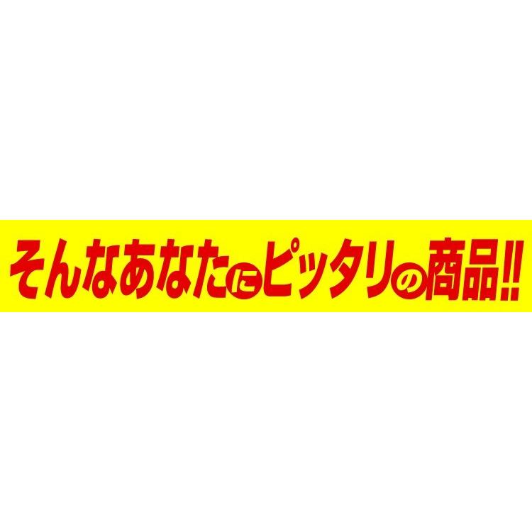 ブロワー バキューム 除雪 落ち葉 枯葉 掃除機 1台2役 エンジンブロワー ブロアー バキューム 2サイクル 26cc｜tantobazarshop｜04