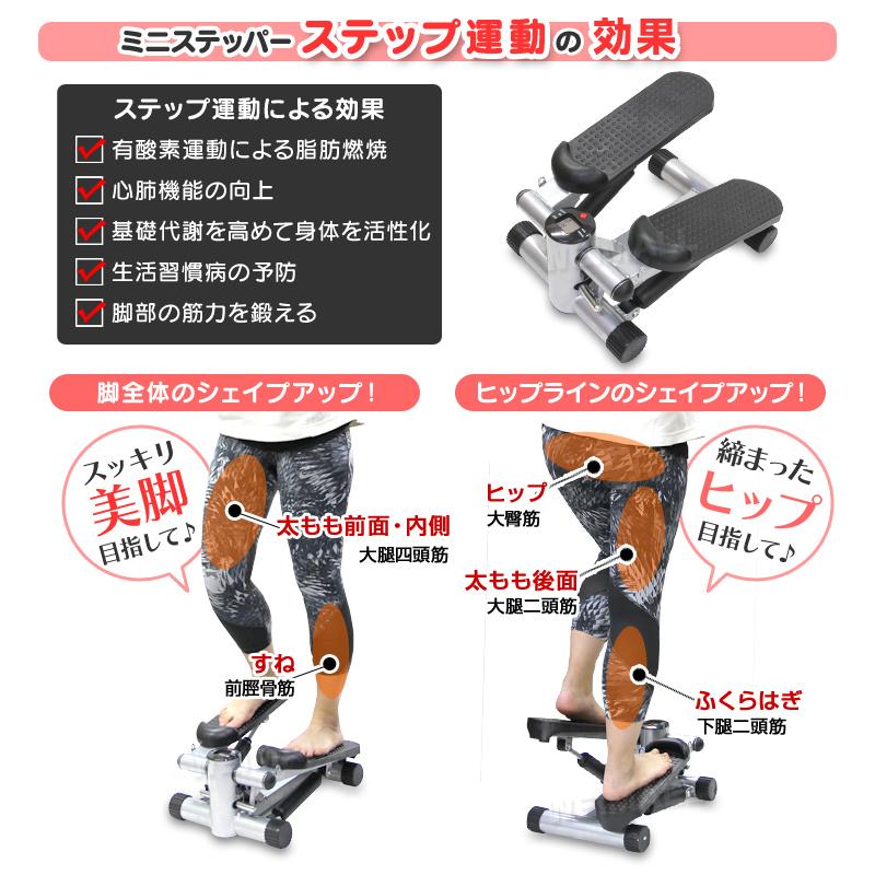 WEIMALL（ウェイモール） ミニステッパー ステッパー 健康器具