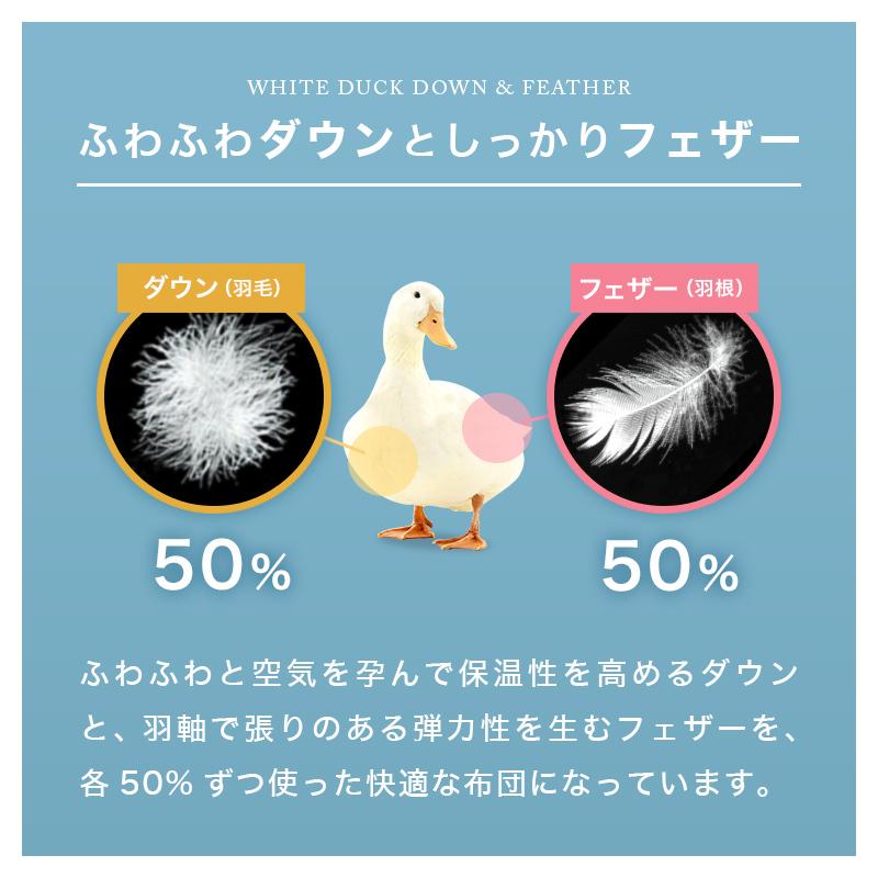 〈新品・未使用〉100%羽毛国産掛け布団 シングル 抗菌・防臭 洗える布団 fed001-a01.jpg