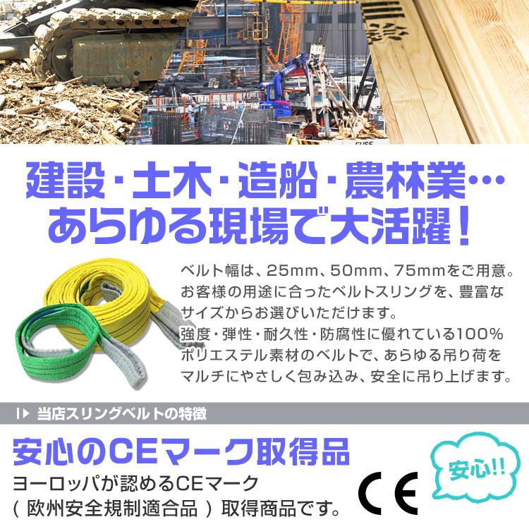 スリングベルト 荷揚げ ロープ 2m ベルト幅50mm 耐荷重1.6t 吊りベルト 2個セット スリングベルト 荷揚げ ロープ 2m ベルト幅50mm 耐荷重1.6t 吊りベルト 2個セット