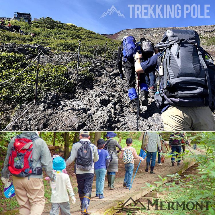 トレッキングポール 2本セット I型 ステッキ ストック 軽量アルミ製 登山用杖 青 Tp01bl2 A Tantobazarshop 通販 Yahoo ショッピング