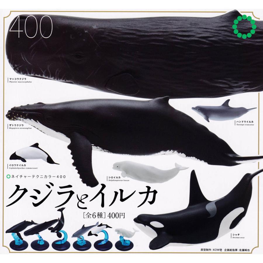 65 以上節約 ネイチャーテクニカラー400 クジラとイルカ 全6種フルコンプ ガチャ