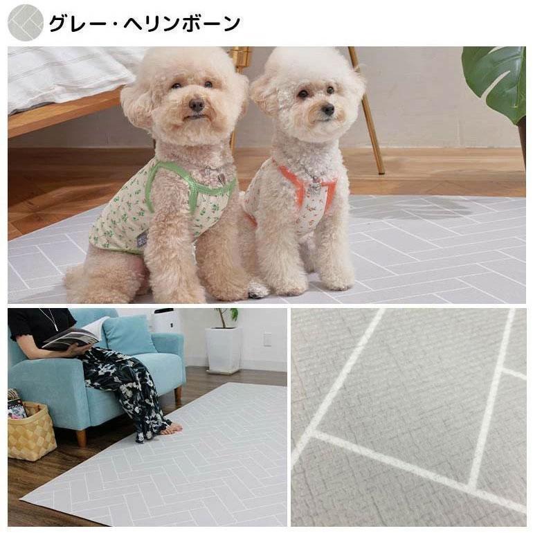 ペットマット 140×170×0.6cm 犬 猫 防水 マット ペットシート pvc 滑り止め 滑らない 床暖房 フロアマット クッション 厚手 防音 消臭 Caraz (petW140L170) 