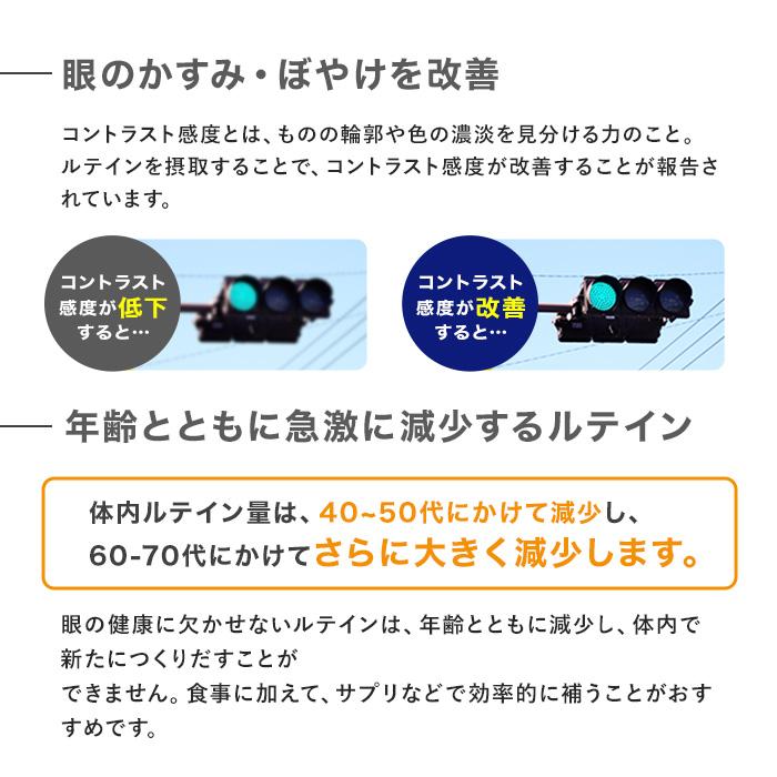 DHC ルテイン光対策 サプリ ビタミンE 60日分 60粒｜tao-store｜04
