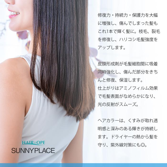 アプルセル　CHヘアパックS SUNNY PLACE 送料無料 サニープレイス アプルセル プレミアム