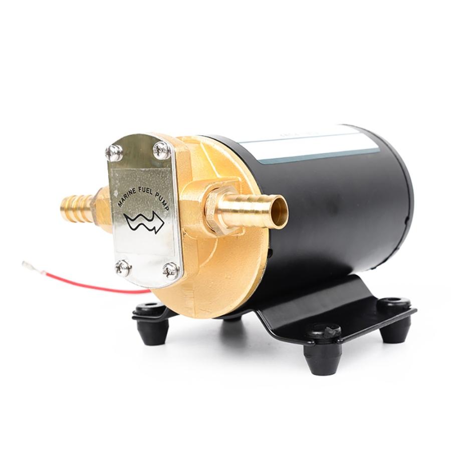 iFormosa 24V 12L/時間 銅金属元素製 歯車 軽油 ランプ油 油絵の具 滑っこい油 粘度流動体 燃料供給 自吸可能 揚水機 直流 IF-FP24 フューエルポンプ-バイク-車、バイク、自転車