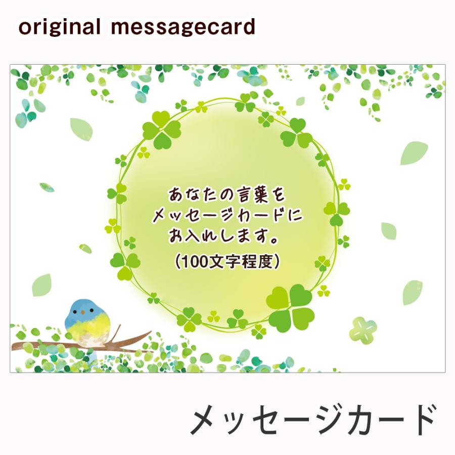 オリジナル メッセージカード 有料オプション 100文字程度 ギフト