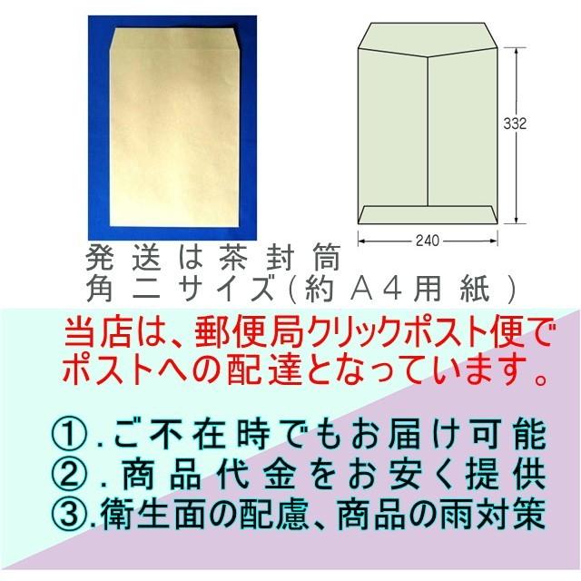 カラーフェイスタオル5枚セット 無撚糸フワフワ 送料無料｜taorusenmon-tsutaya｜07