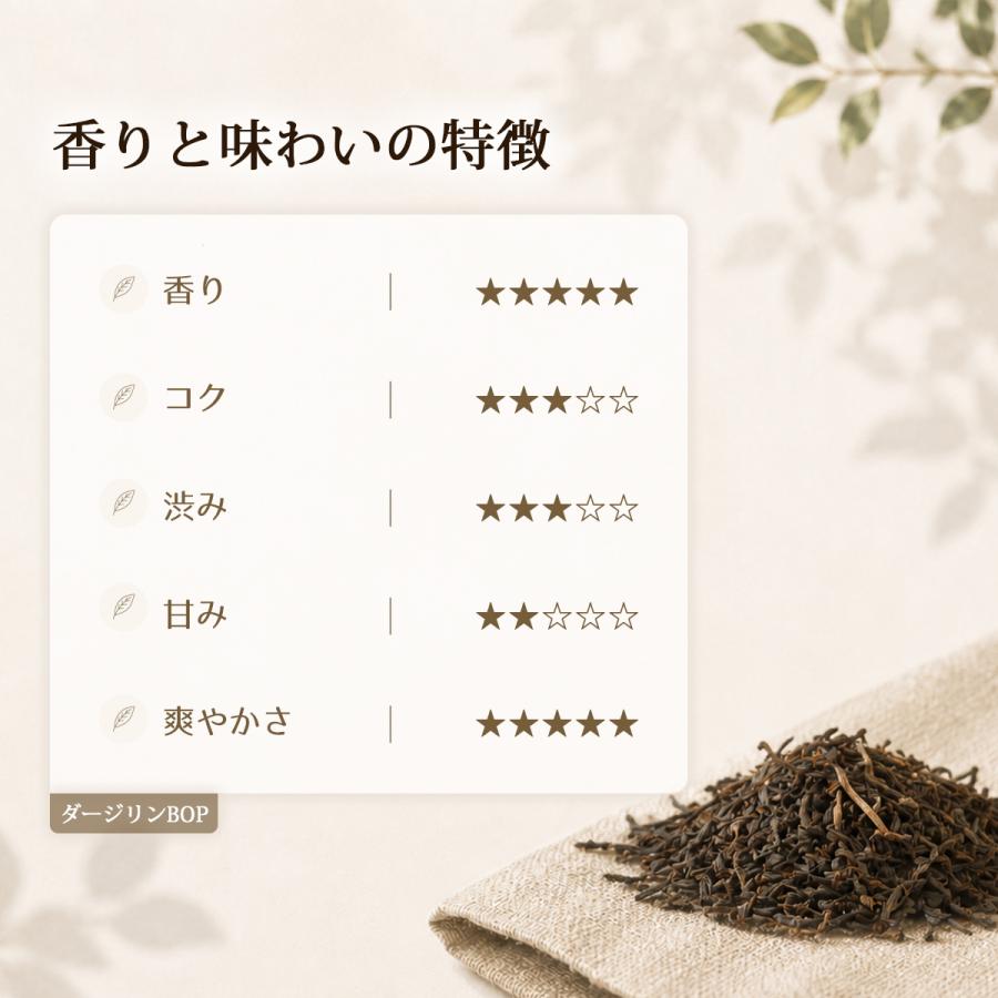 ダージリン BOP 100g 10パック 1cs 高級 茶葉 本格 紅茶 高級茶葉 タピオカ タピオカドリンク ドリンク |  | 03