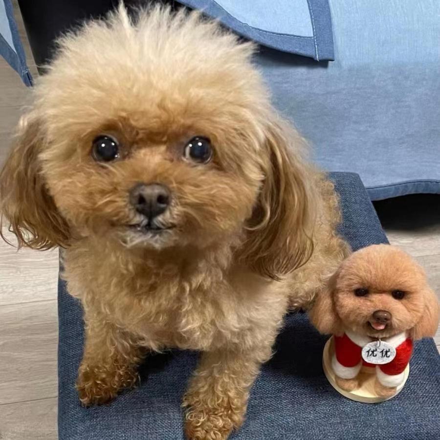 羊毛フェルト ミニチュア マスコット ふわふわ羊毛で作る 手作り ハンドメイド メモリアルグッズ 犬 猫 ペット 車載用【写真から作る】オーダーメイド承り中 羊毛フェルト ミニチュア マスコット ふわふわ羊毛で作る 手作り メモリアルグッズ 犬 猫