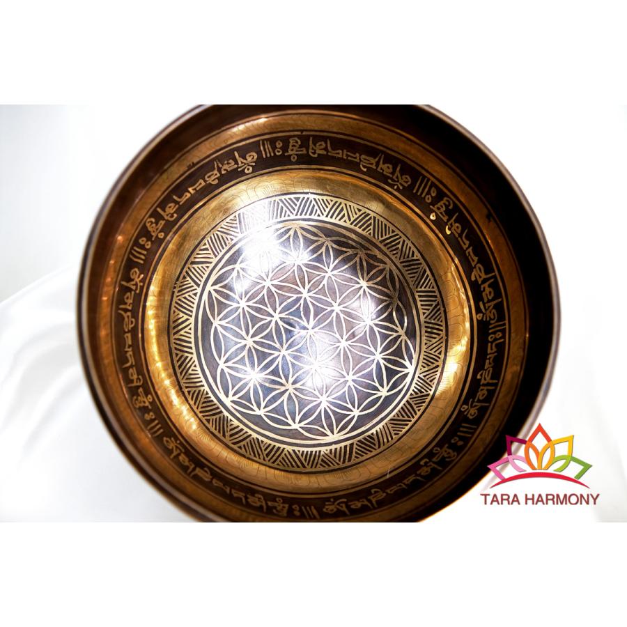 シンギングボウル 19cm 【フラワー・オブ・ライフ】 （超美音） 285Hz