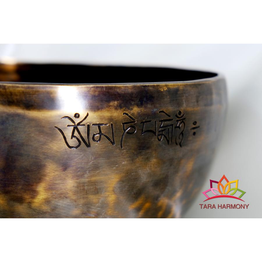 ファインアートボウル グリーンターラ シンギングボウル 24cm D音