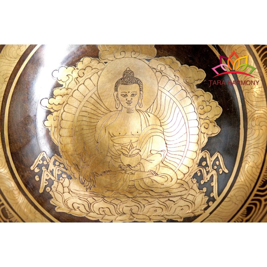 シンギングボウル 22cm 【薬師如来】（美音） [SB221009-22D