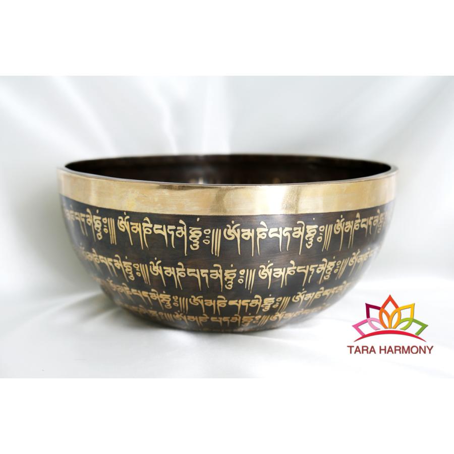 試聴】心整える音色 倍音を奏でる水晶のシンギングボウル シンギング