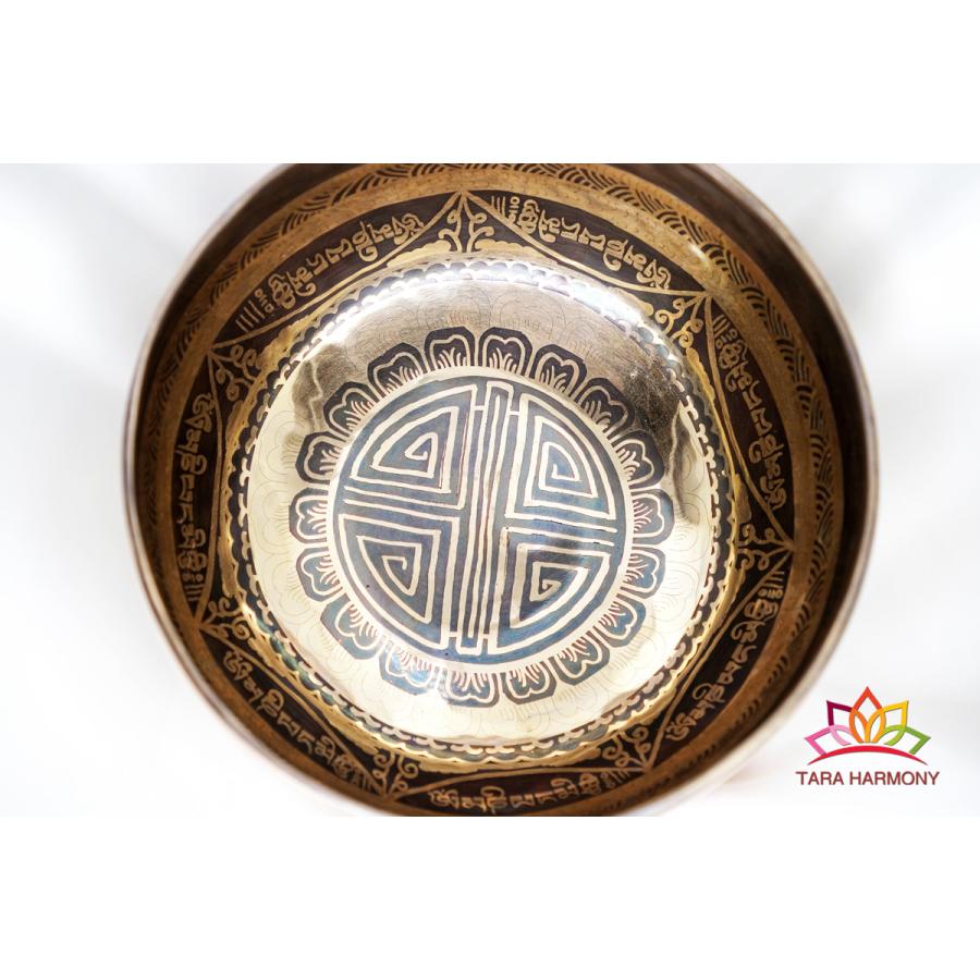 ボウルスピナー【未使用】 ボウルスピナー【未使用】 ボウルスピナー【未使用】 2025年最新