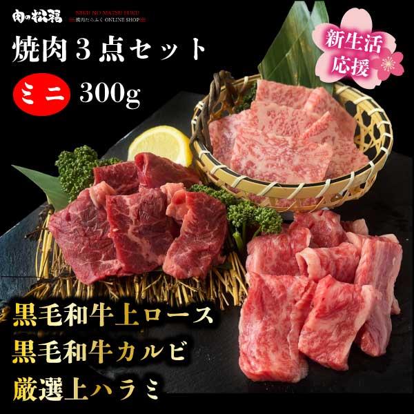 黒毛和牛 焼肉 セット 1人前 お試しセット カルビ ロース ハラミ 300g プレゼント｜tarafuku29