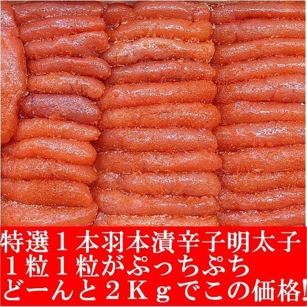 辛子明太子 業務用 明太子 たっぷり2キロ 1本物 : 北海道古平