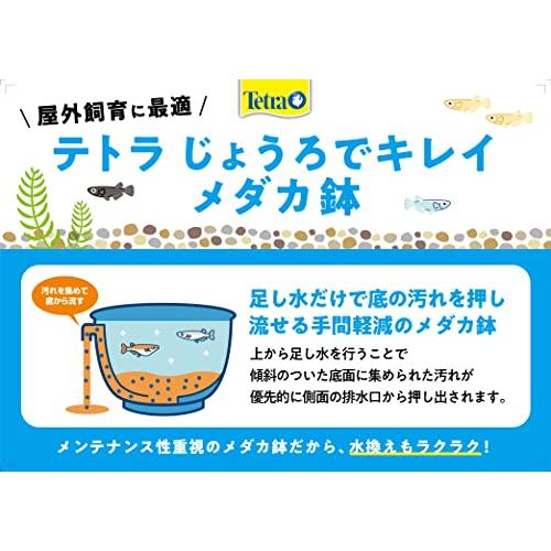 テトラ じょうろでキレイメダカ鉢 丸30 みかげ 水を入れ替えることができる 睡蓮｜taranstore｜06