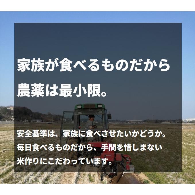 3日以内に出荷】令和7年度 茨城県産 コシヒカリ 30kg(10kg×3袋) 白米