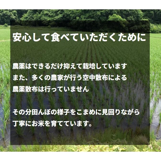 3日以内に出荷】令和7年度 茨城県産 コシヒカリ 30kg(10kg×3袋) 白米