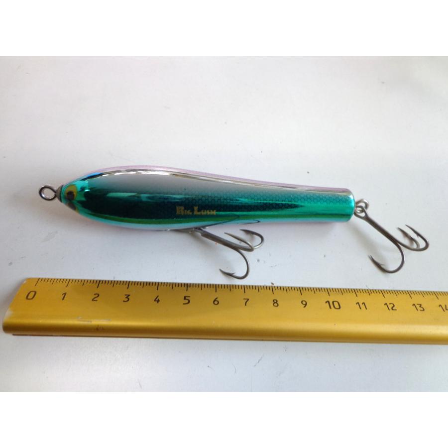 スポーツザウルス・ビッグラッシュ スケーター セラフ 19g (2