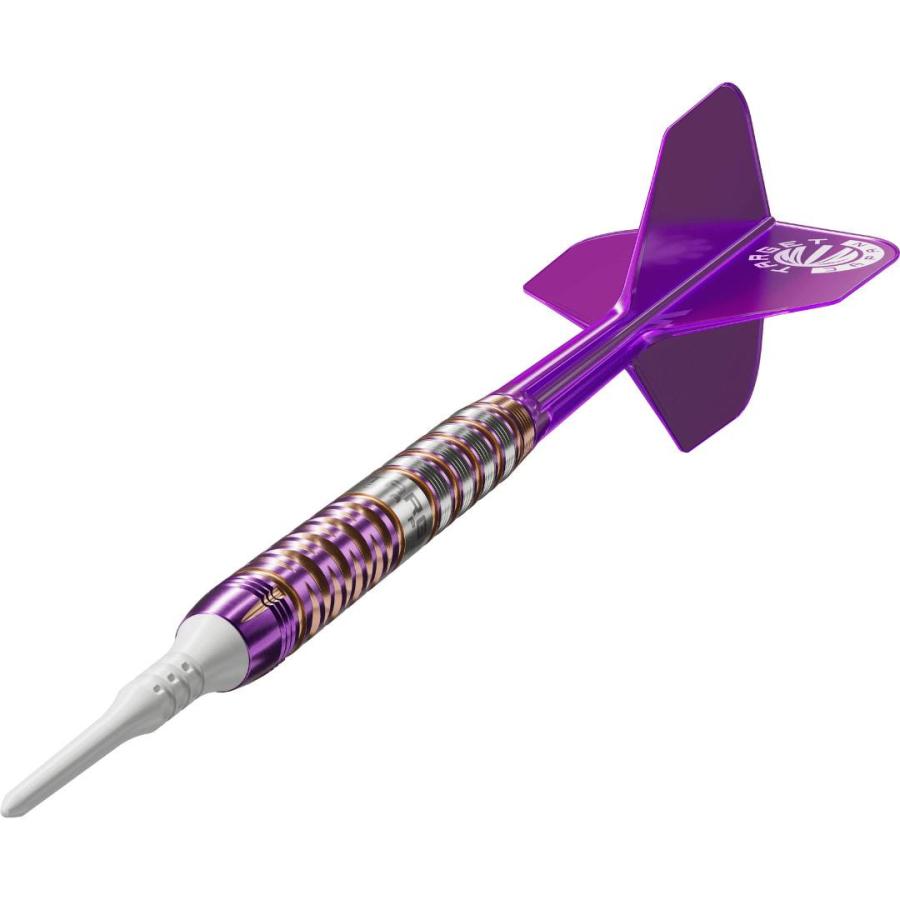 TARGET ENDEAVOUR G2 90% 20G 2BA 佐藤 かす美モデル（エンデバー ジェネレーションツー Kasumi Sato）タングステン ソフトチップ ダーツ ターゲットの画像