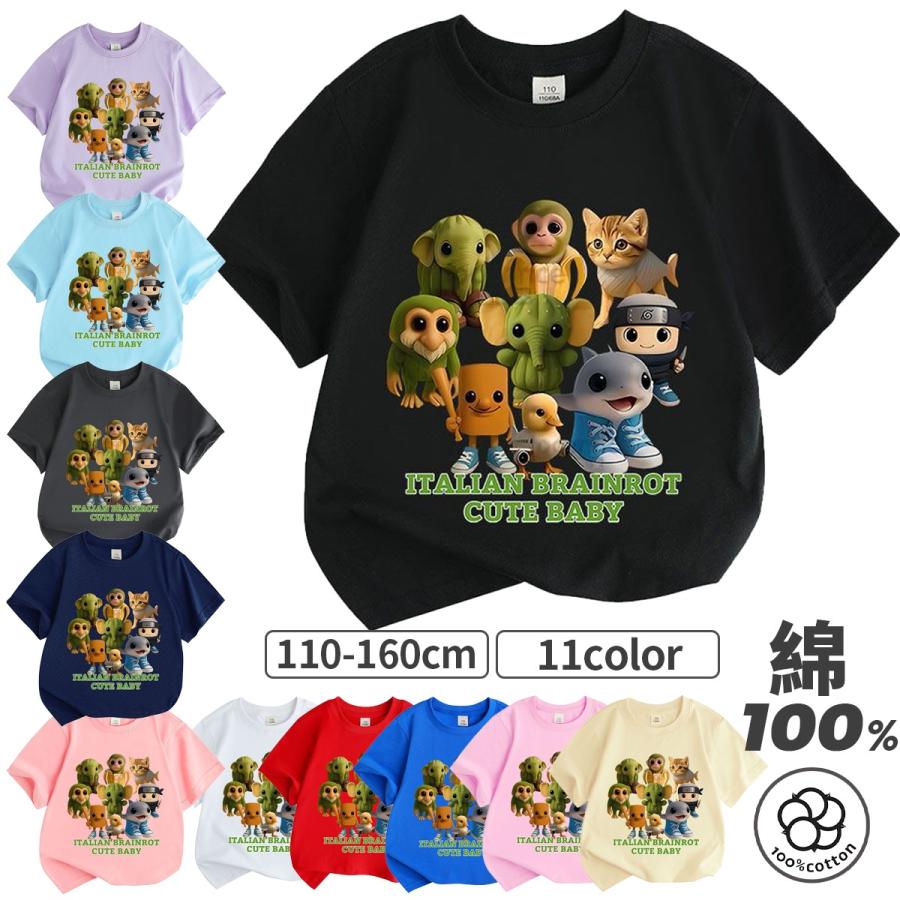 ⭐️超お得⭐️イタリアンブレインロット 24個入り ⭐️６箱セット⭐️ グッズ イタリアンブレインロット🧠🤯 - YouTube