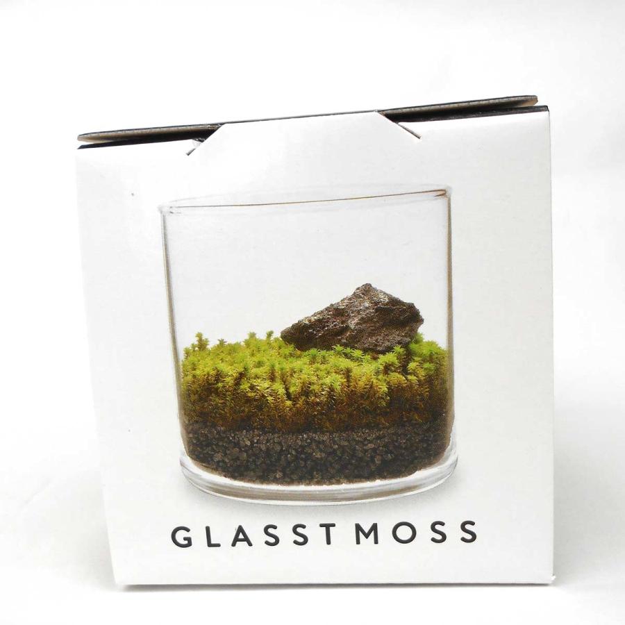 グラストモス コケテラリウムセット : 駄菓子とおもちゃの太郎と花子