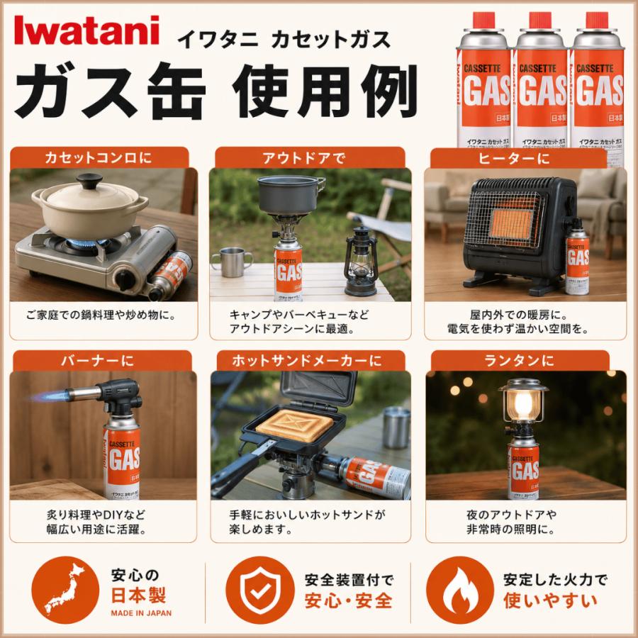 Iwatani（イワタニ） ガスボンベ 2本セット / iwatani 岩谷産業 CB-250