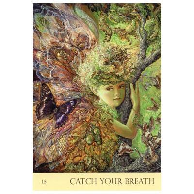 ネイチャーズ・ウィスパー オラクルカード : タロットアート