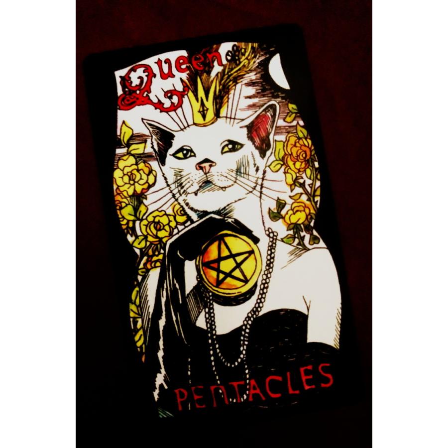 魔法使いの猫 ウィッチ キャット タロット Witchy Cat Tarot Mana Yahoo ショップ 通販 Yahoo ショッピング