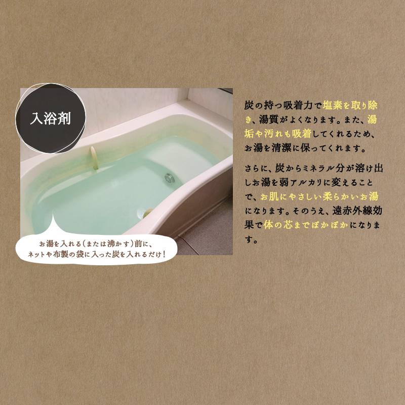 備長炭 浄水 紀州備長炭切細丸 二袋セット 国産 100g×2 白炭 和歌山