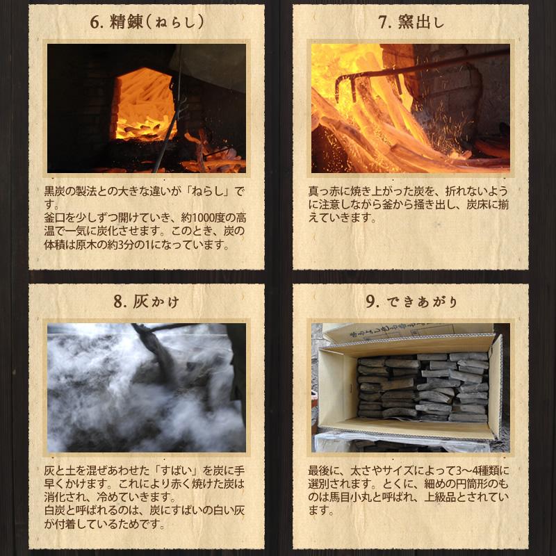 備長炭 浄水 紀州備長炭切細丸 二袋セット 国産 100g×2 白炭 和歌山